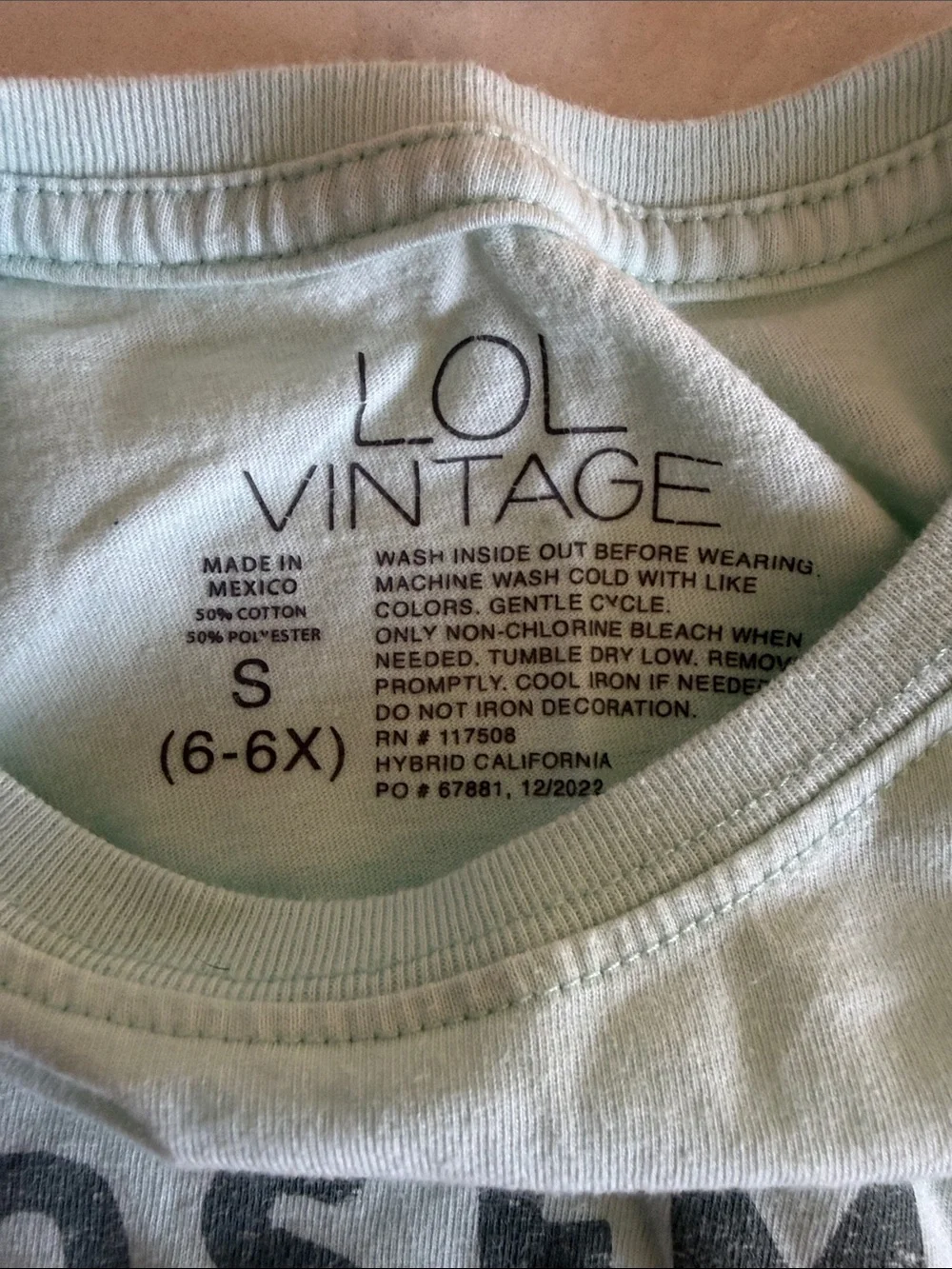 L.O.L. Vintage Yosemite Graphic Tee - Mint with Rust and Dark Teal Print